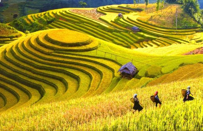 Seize the scenic spirit of Sapa Travel