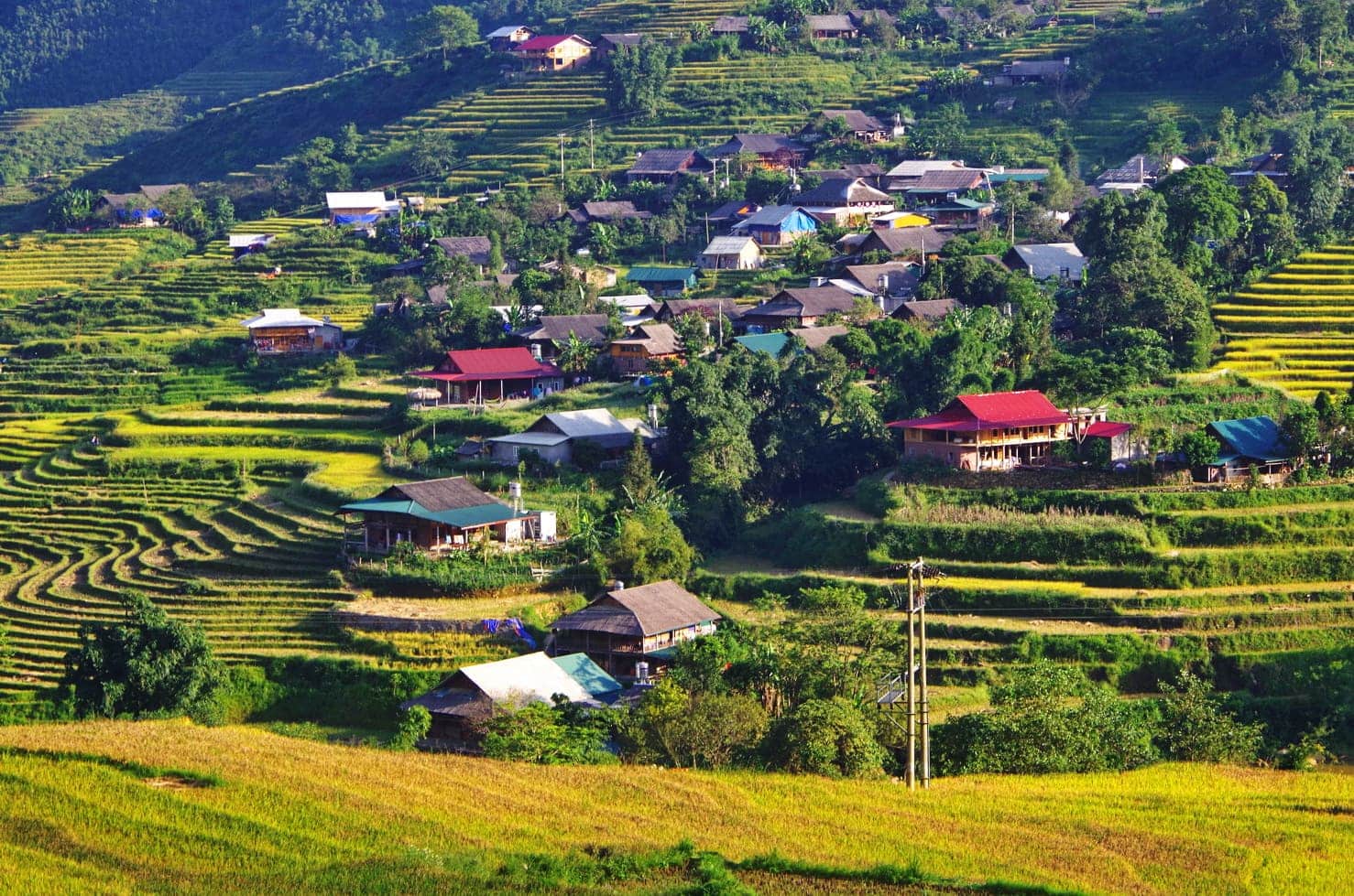 Photograph the vibrant spirit of Sapa’s culture