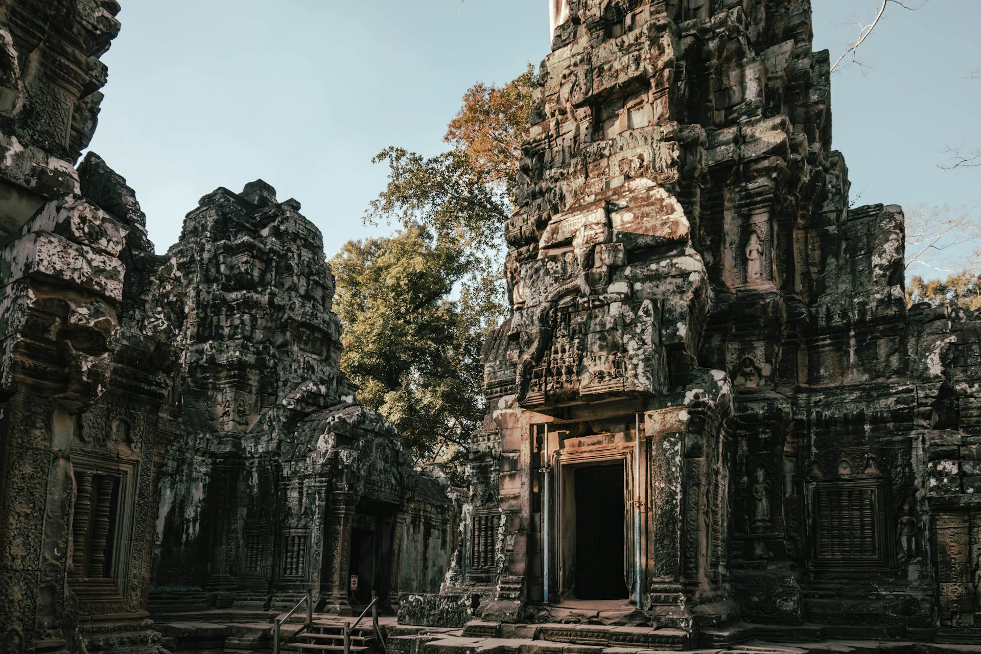 Explore the mystical ruins embraced by ancient trees