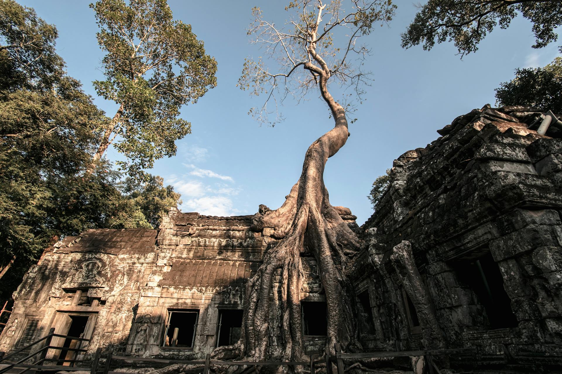 Explore nature-reclaimed ancient wonders