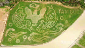 Tam Coc Art Ninh Binh