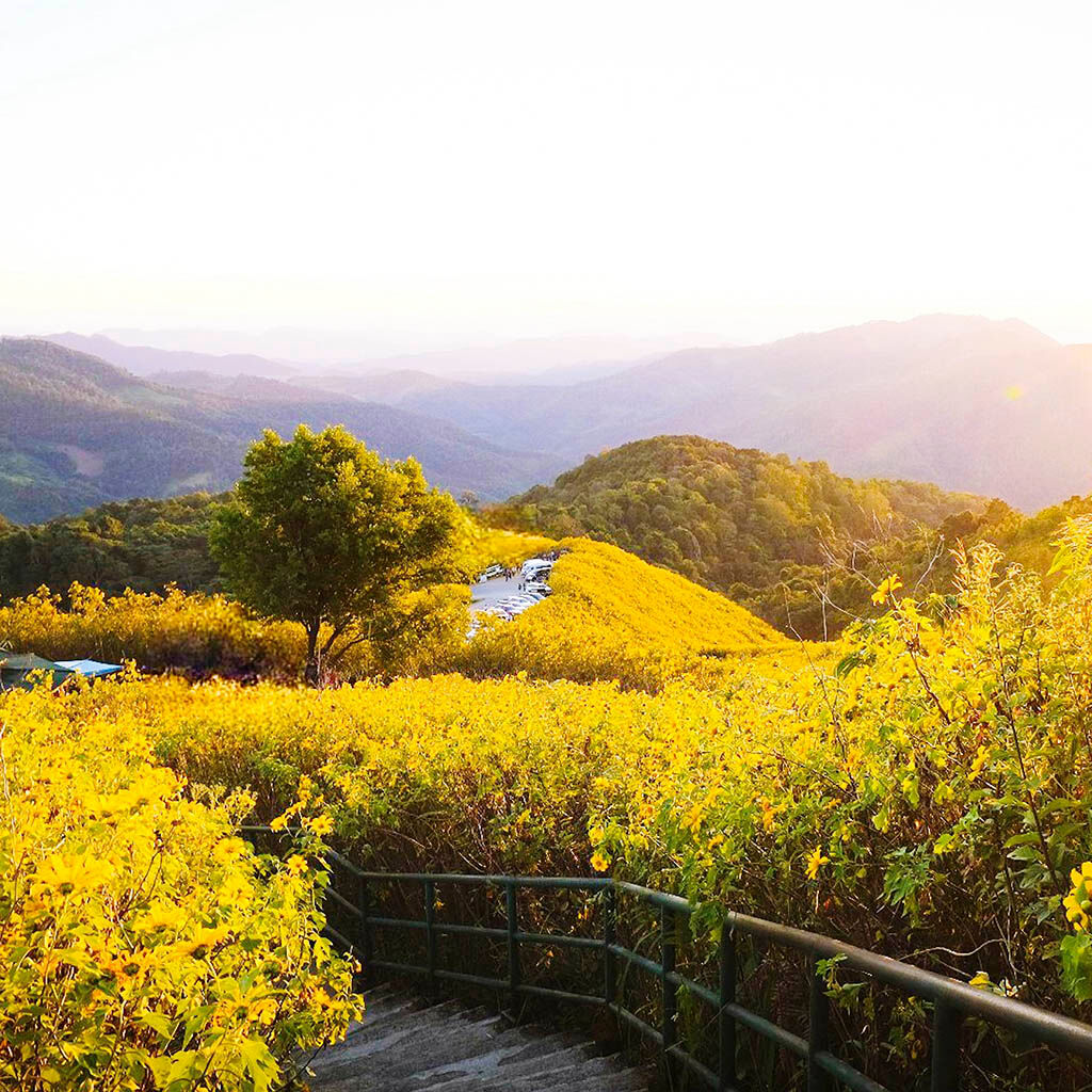 Thailand in fall season