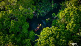 Thailand_Klong Root - Krabi