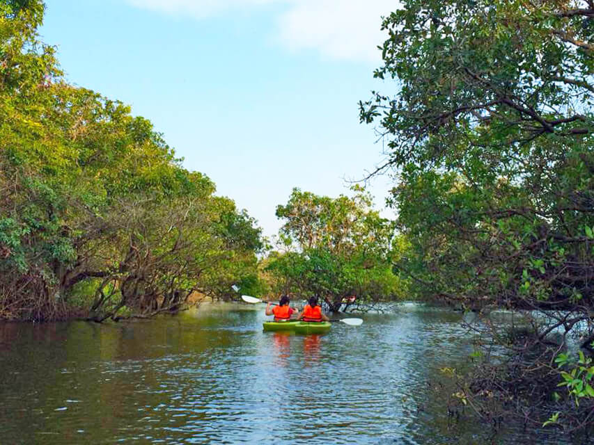Experience Cambodia’s heritage with guided tours