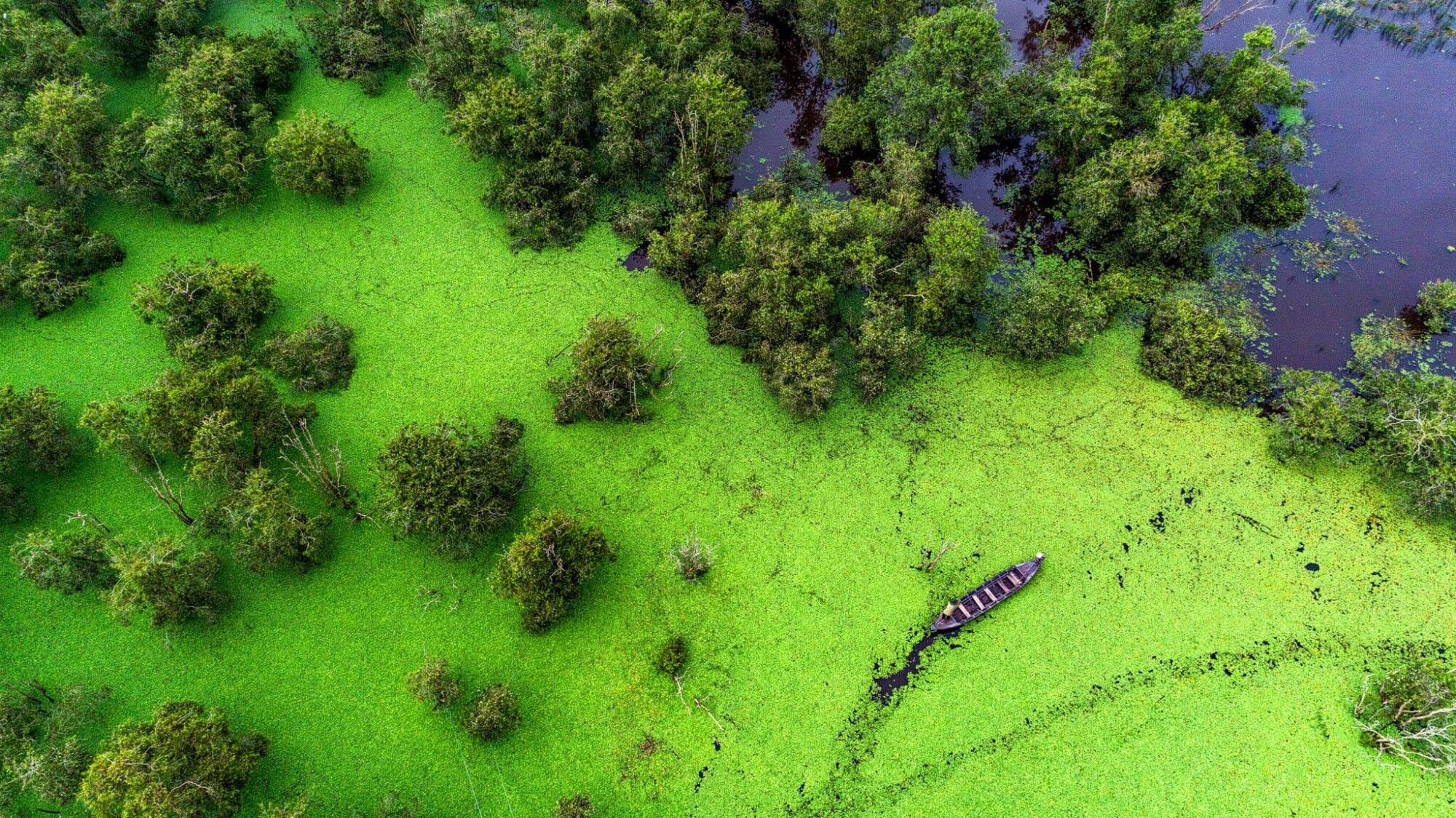 Start your journey with Hanoi’s tranquil glow