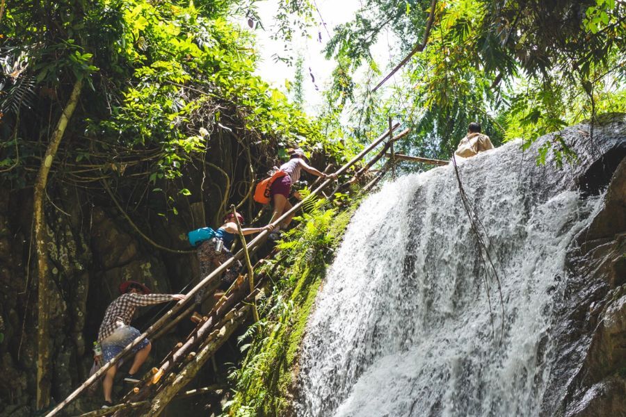 Trek through lush protected forests safely with guides