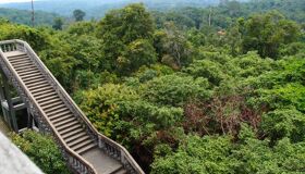 Kulen Mountain Stairs