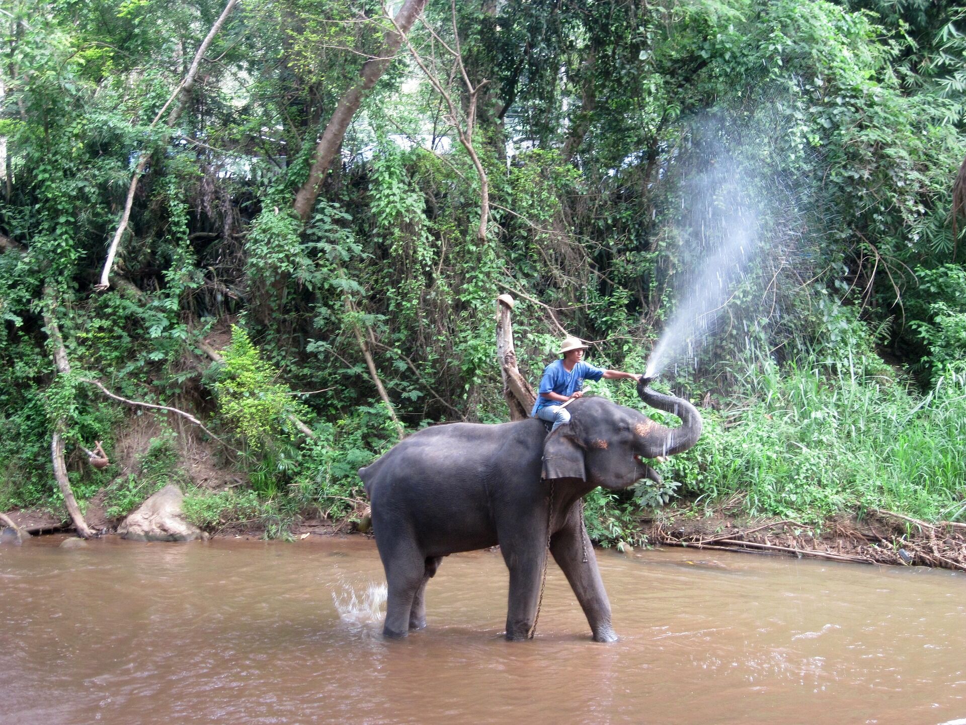 Meet gentle giants in a responsible and compassionate environment