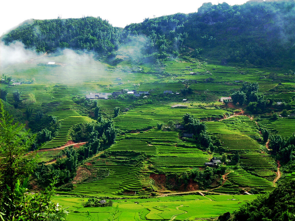 Begin your exploration with Mai Chau’s tranquil ambiance