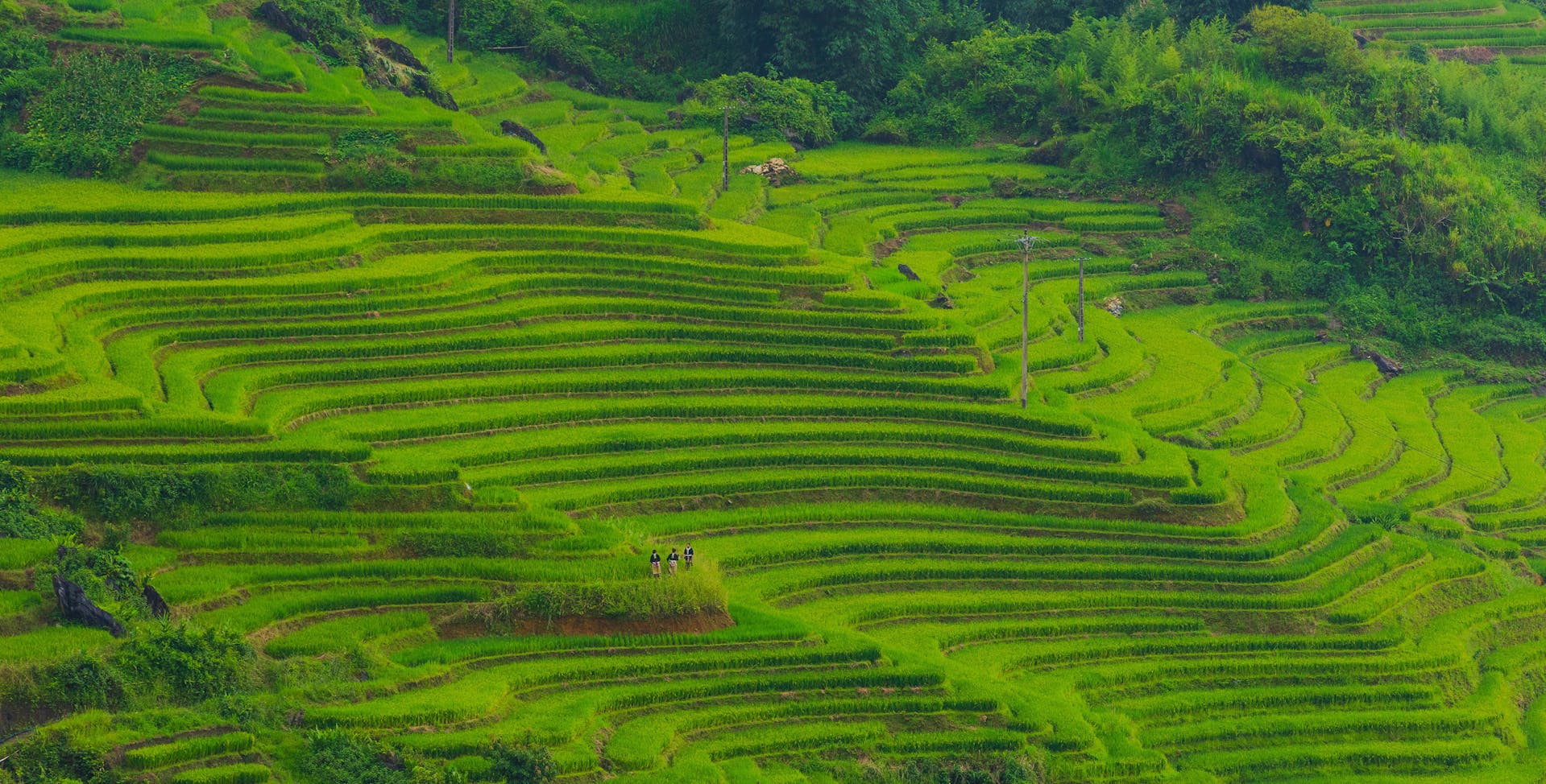Start your journey with Muang Sing’s scenic glow