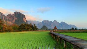 Muang Xay Rice Fields