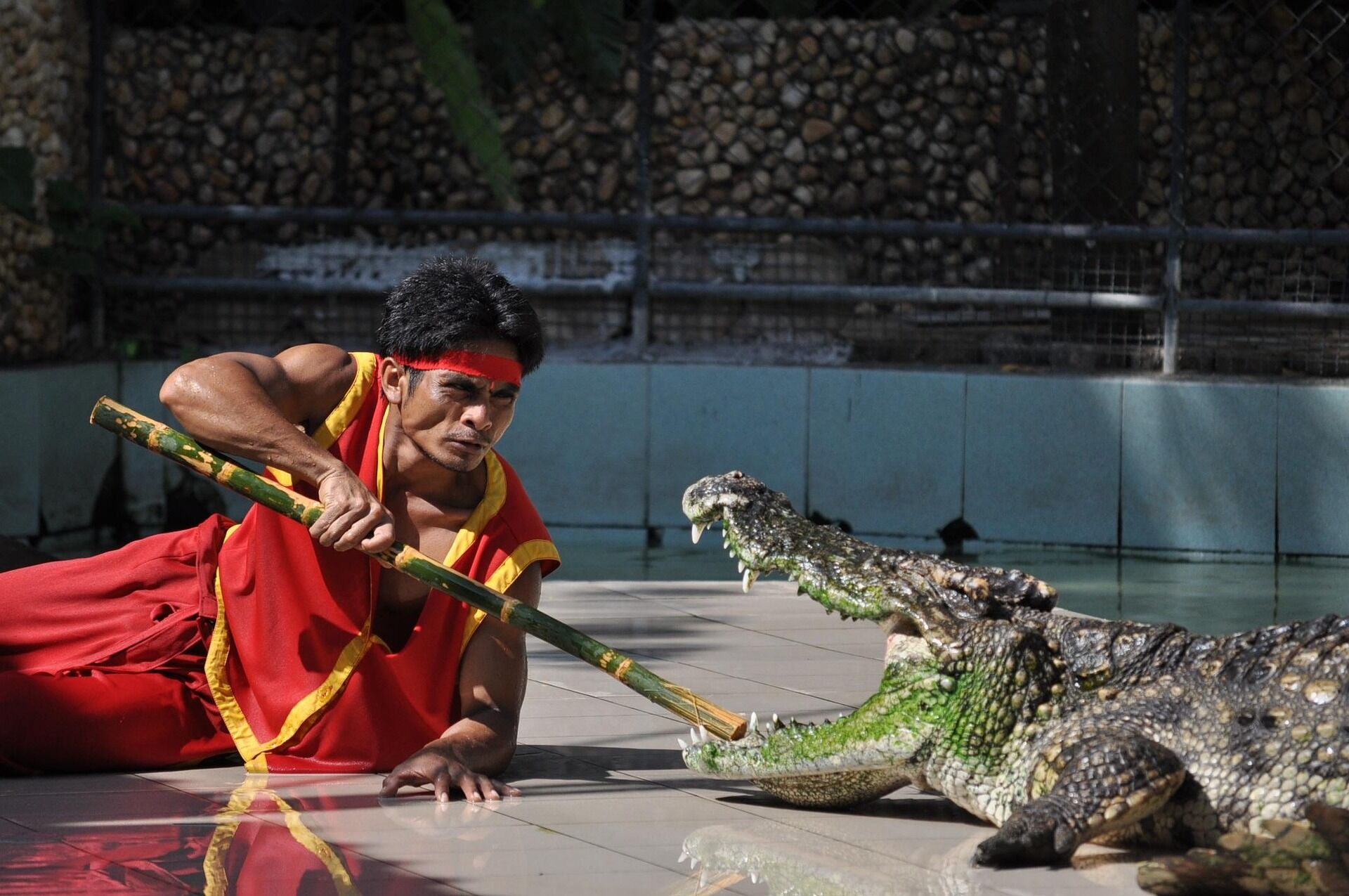 Seize the cultural essence of Thailand’s artistry