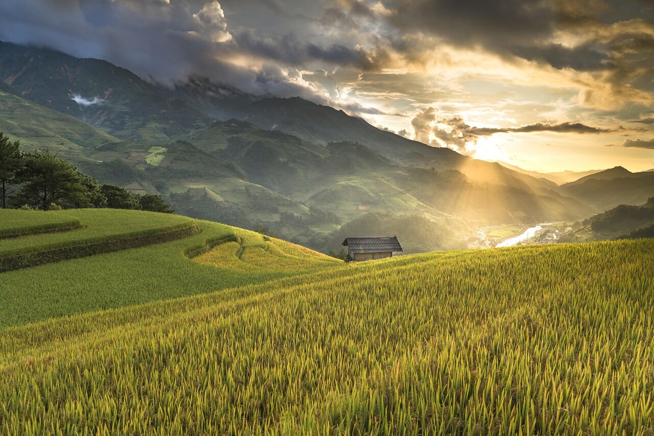 Admire northern Vietnam’s stunning landscapes