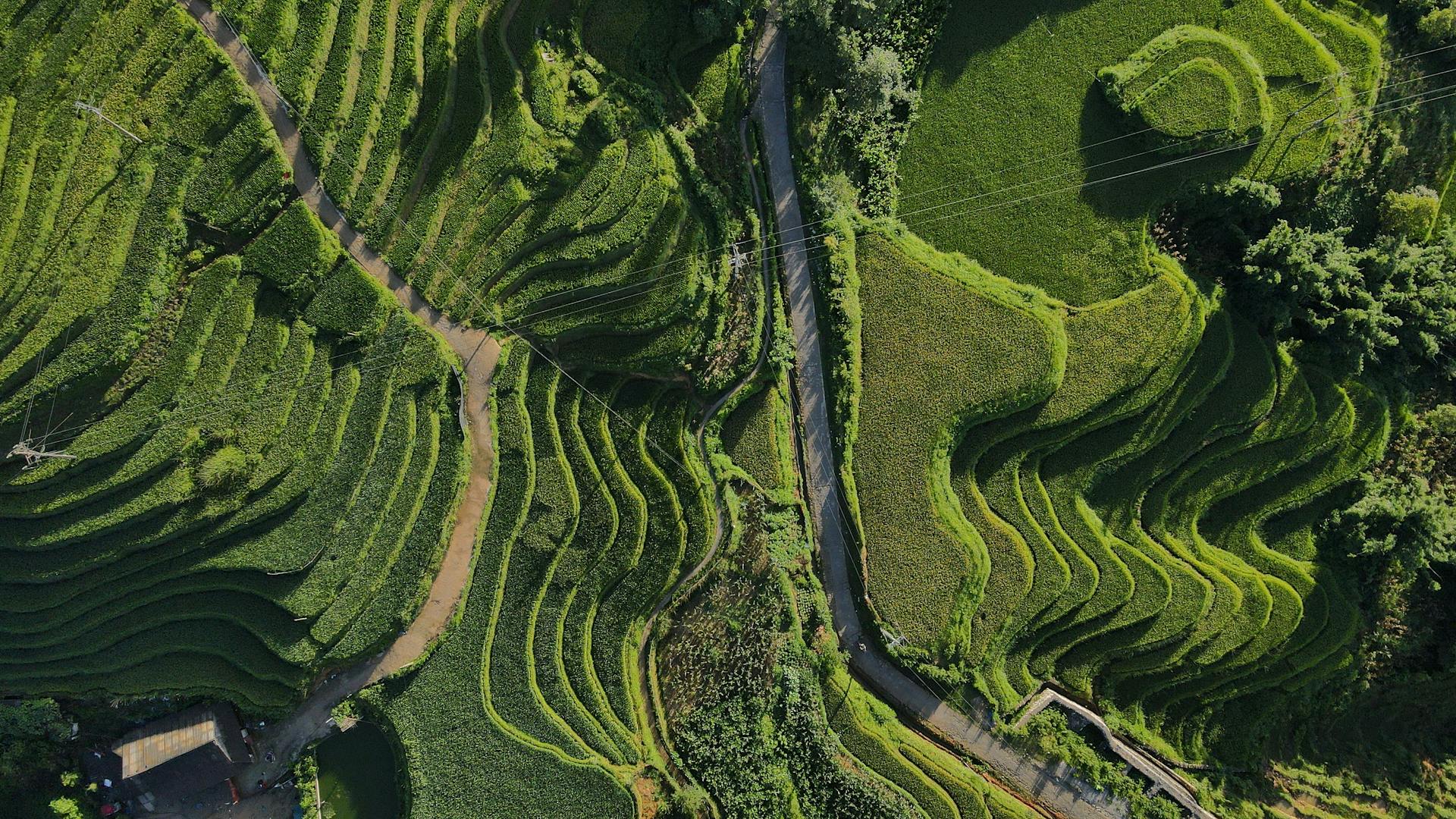 Capture the stunning beauty of Sapa’s cultural landmarks