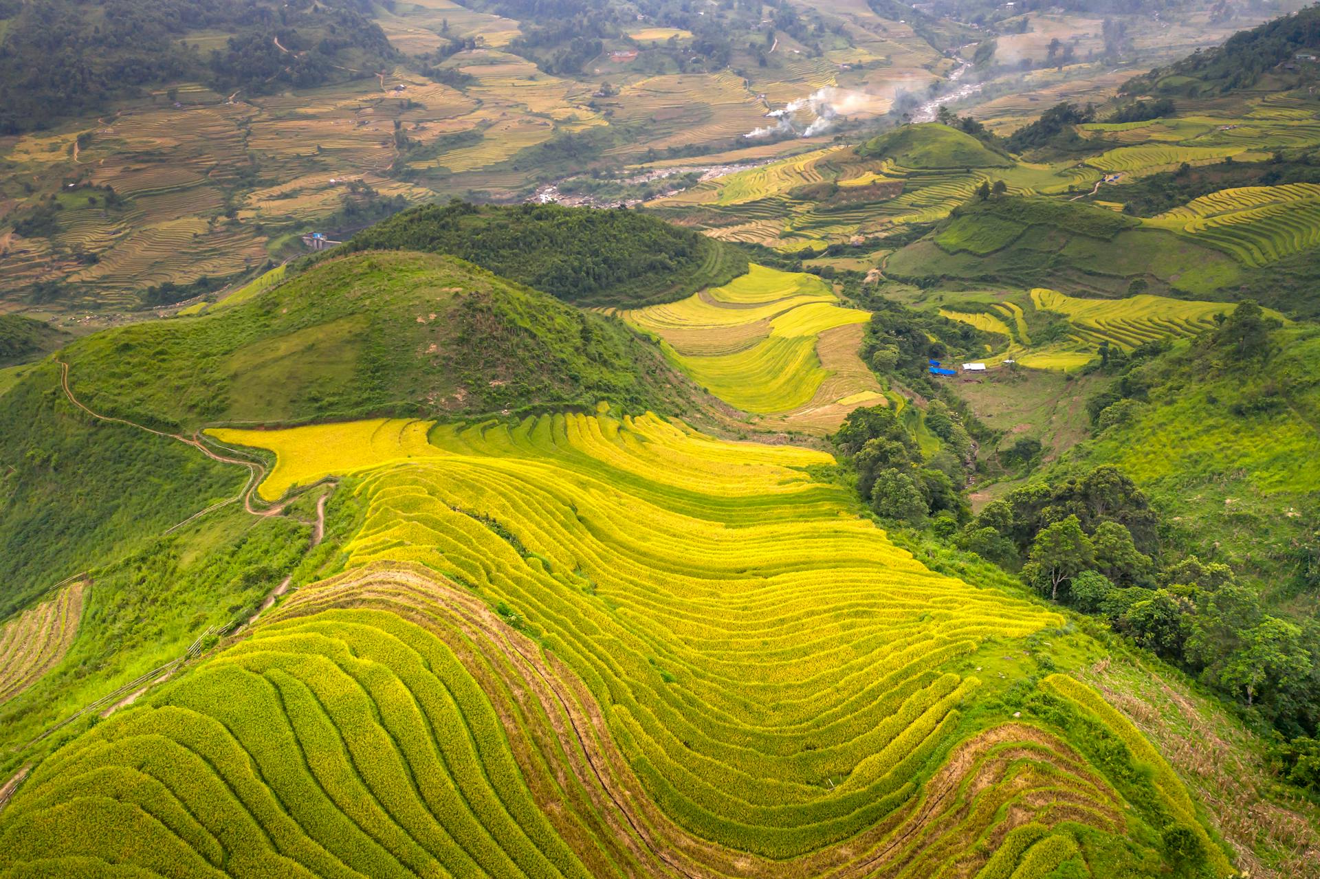 Marvel at endless green terraces in misty Sapa