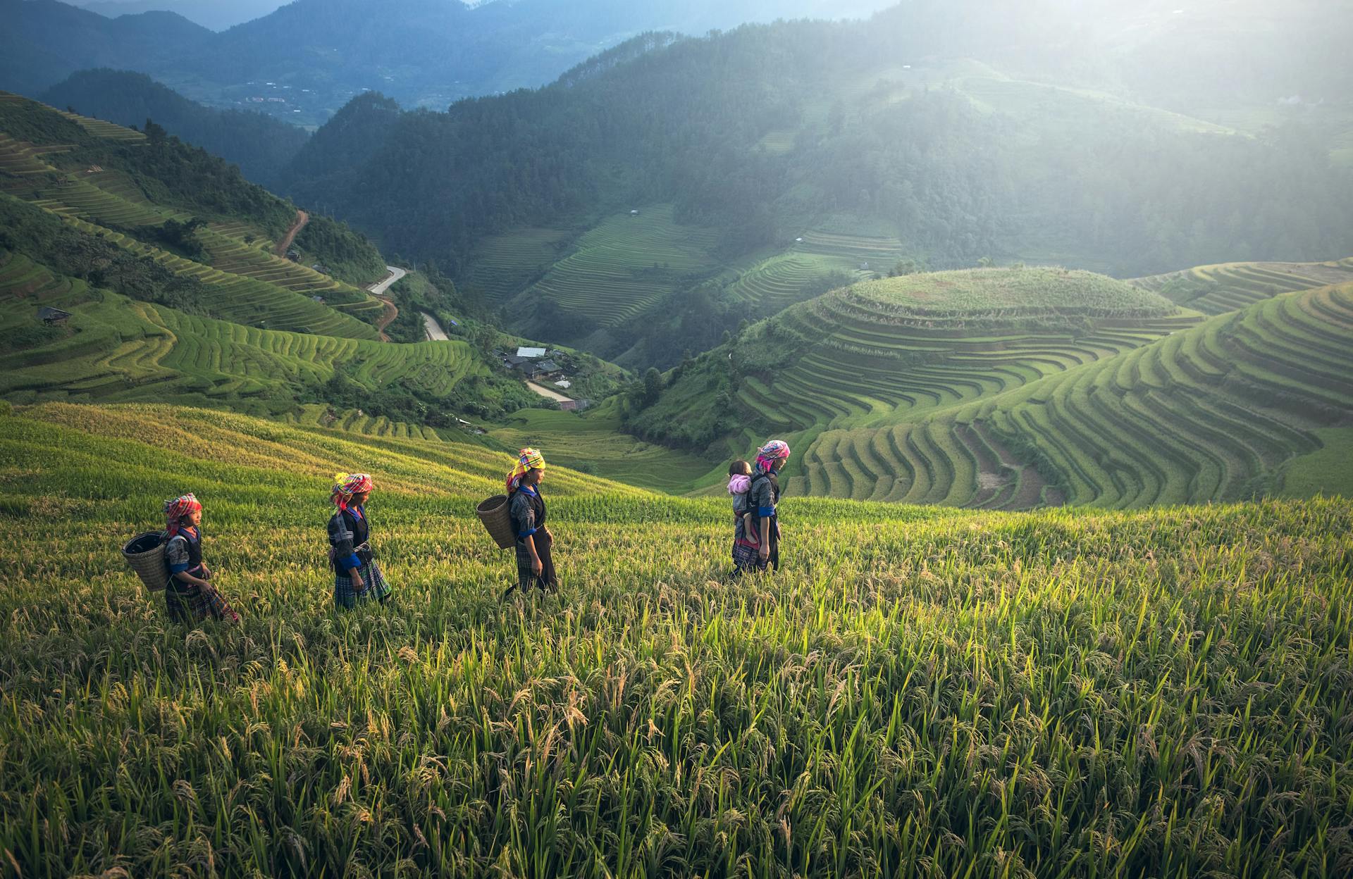 Capture the stunning beauty of Sapa’s mountain landscapes