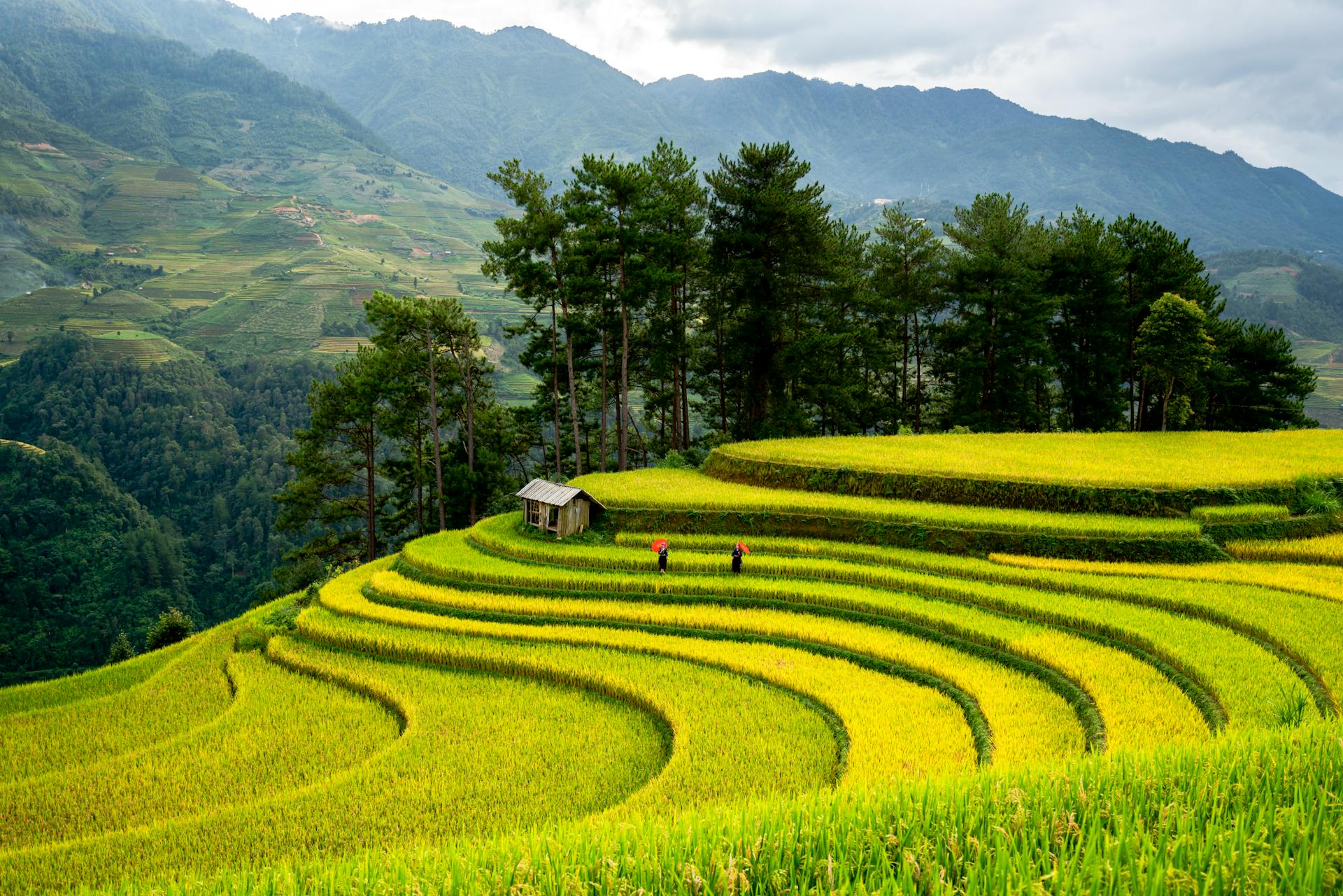 Immerse in Sapa’s serene heritage