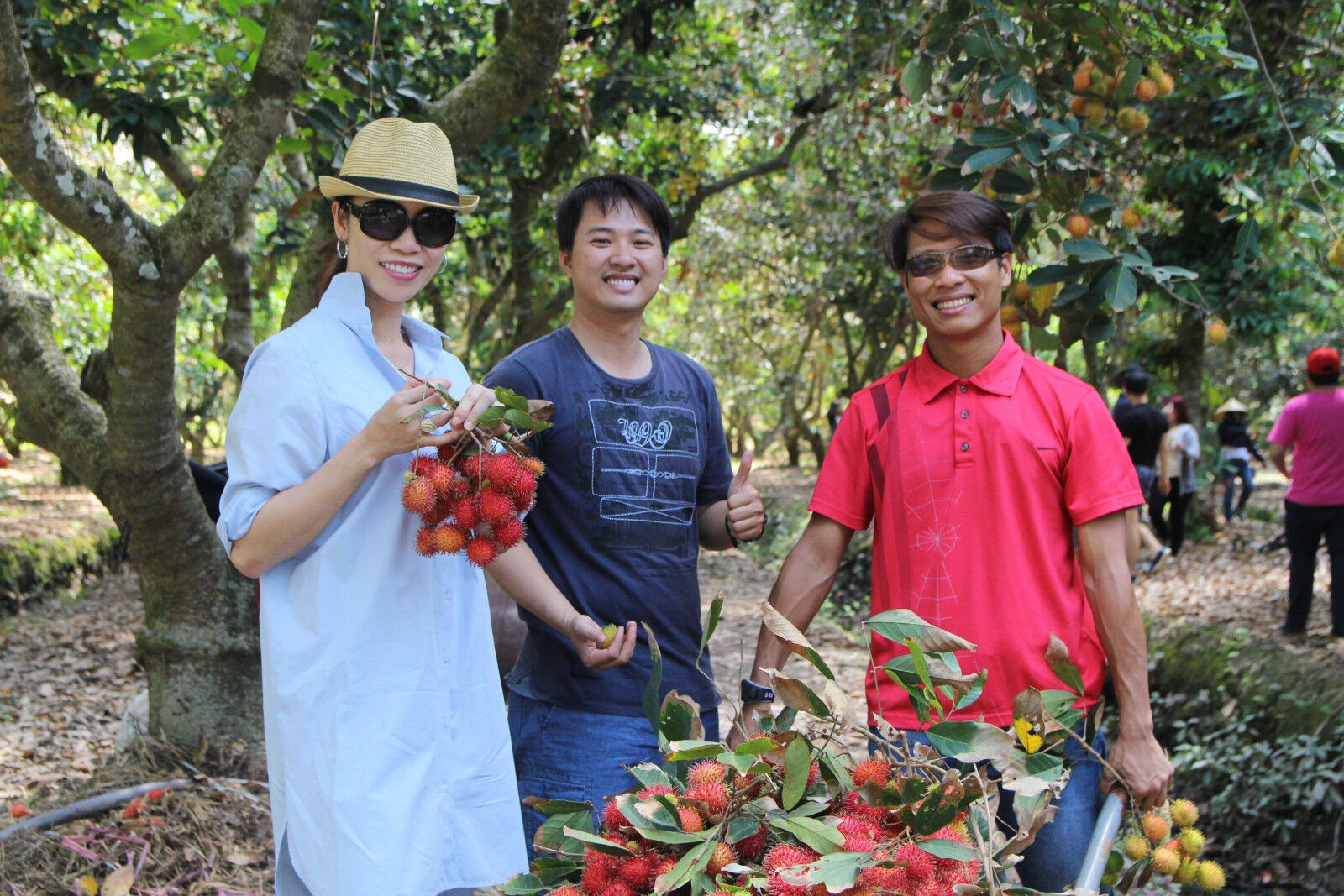 Experience southern Vietnam’s waters with guided tours