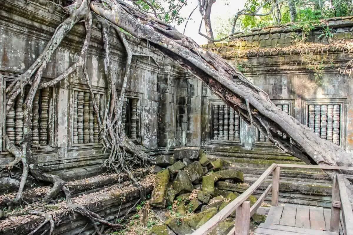 Explore the mystical jungle temple of Ta Prohm