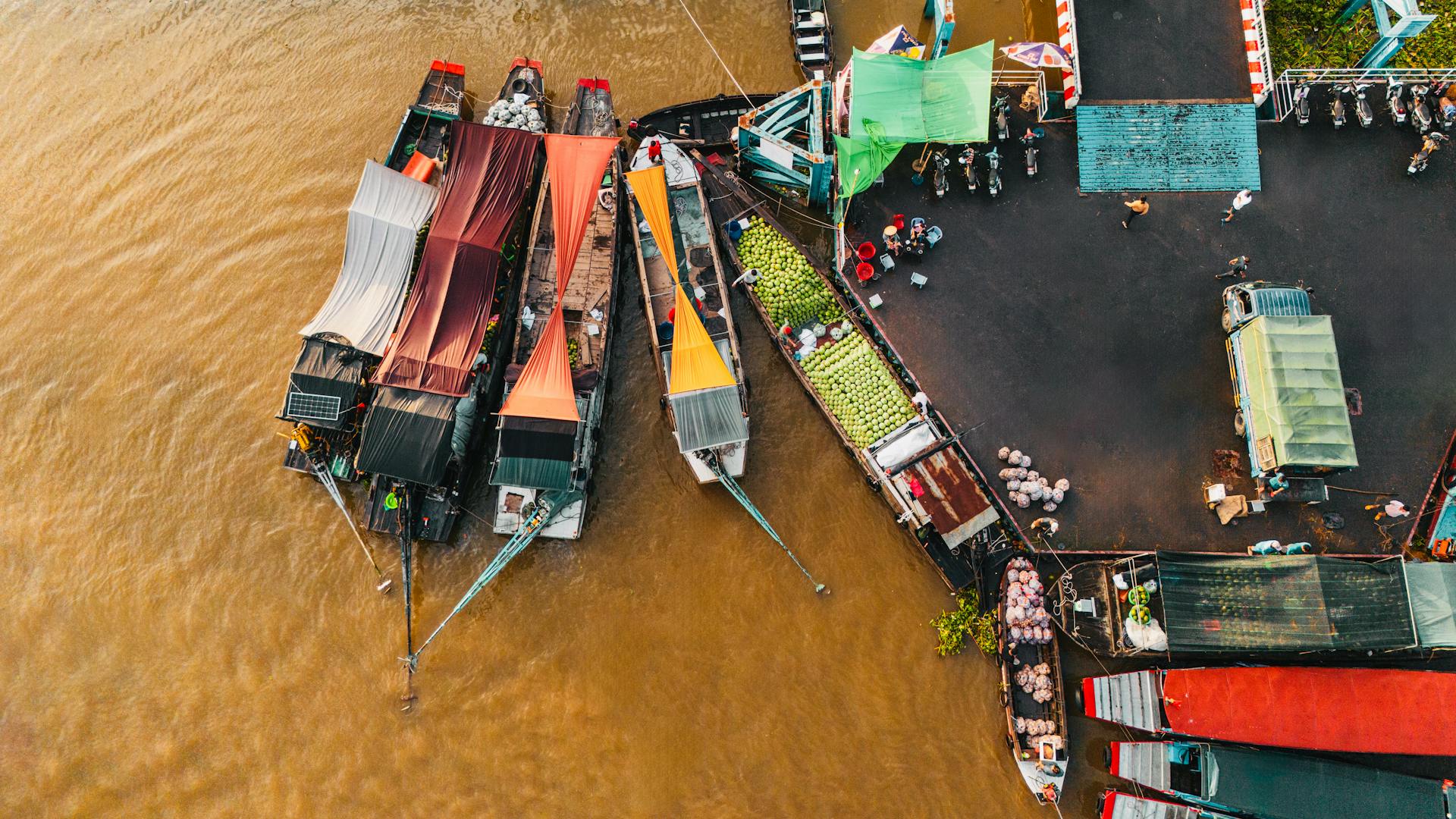 Learn Vietnam’s nature with expert guidance