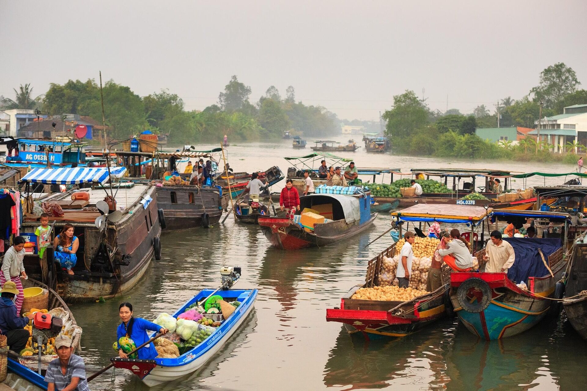 Discover colorful river life south of Ho Chi Minh City
