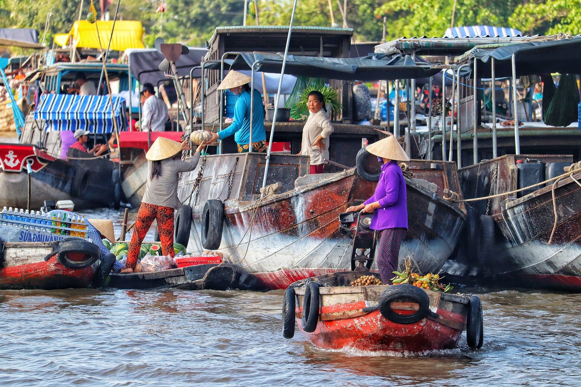 Experience colorful river life in the Mekong Delta