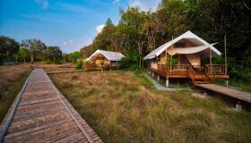Cardamom Mountain Tented Camp