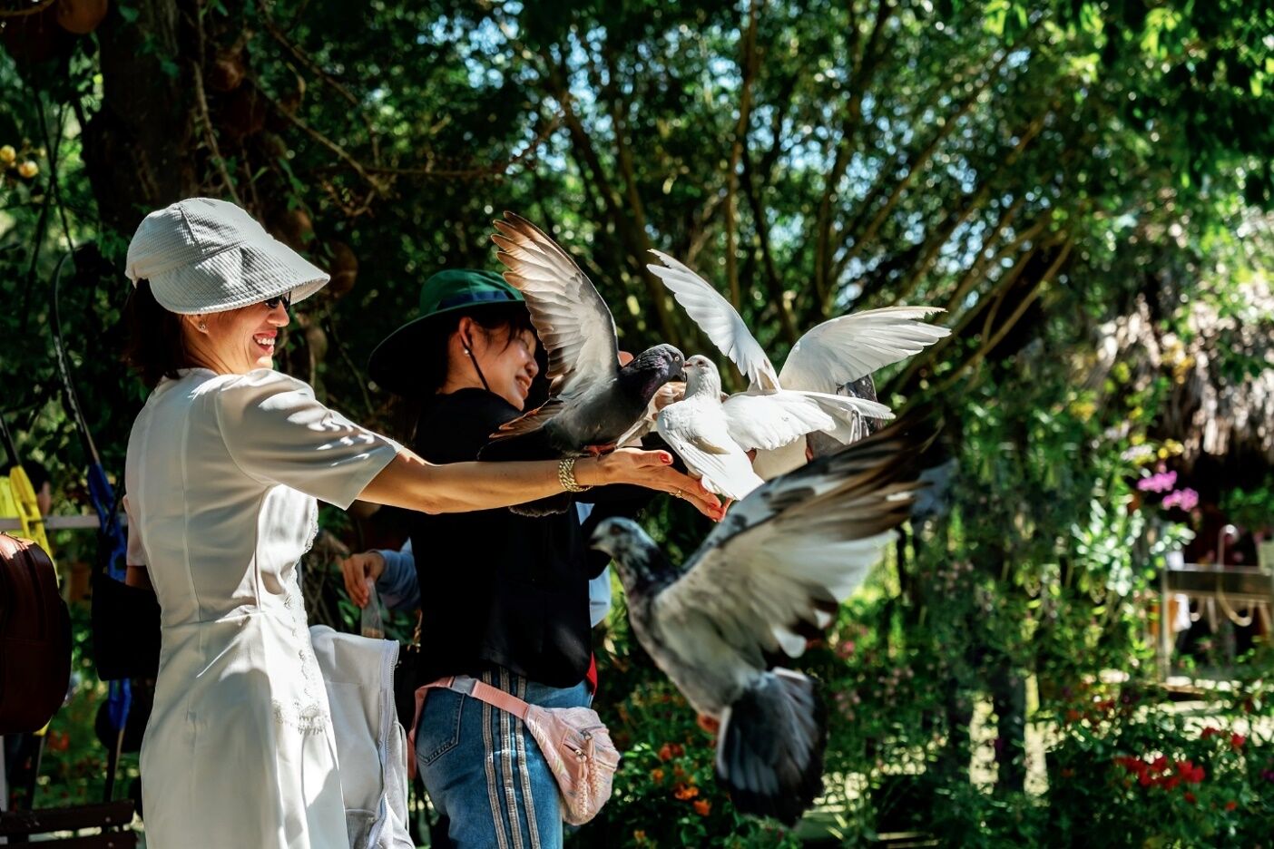 Chau Doc Tra Su Cajuput Forest