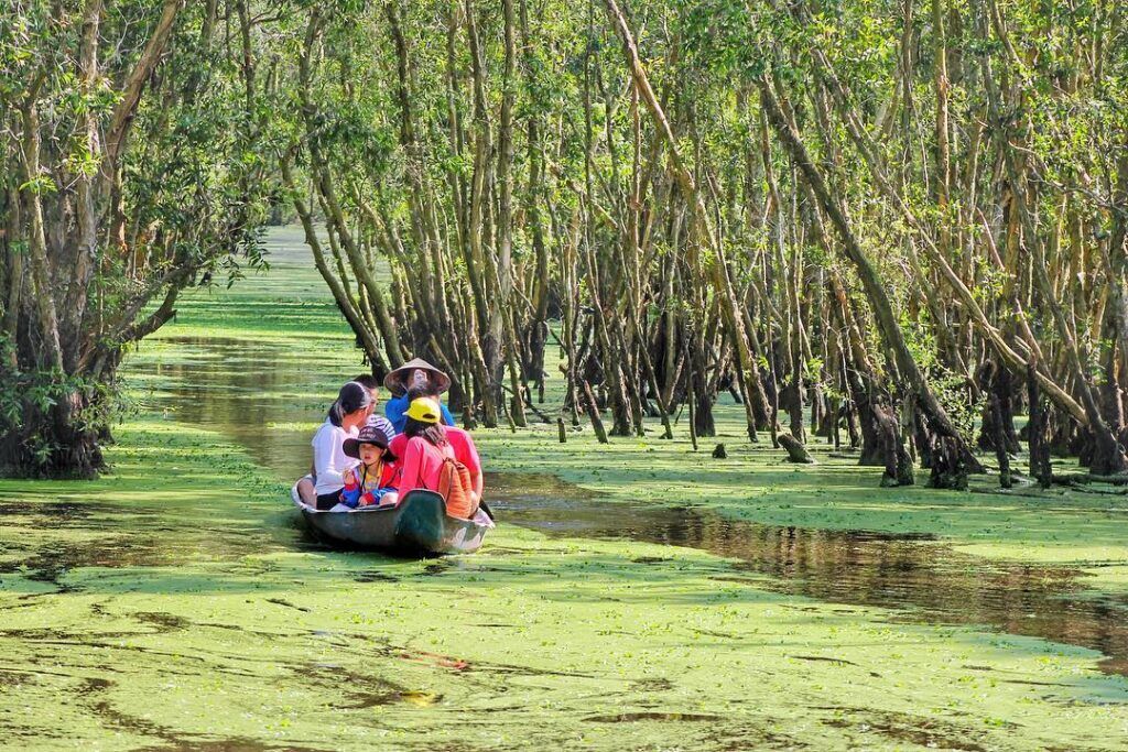 Chau Doc Tra Su Cajuput Forest