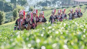 Chiang Rai Golden Triangle Ethnic Group