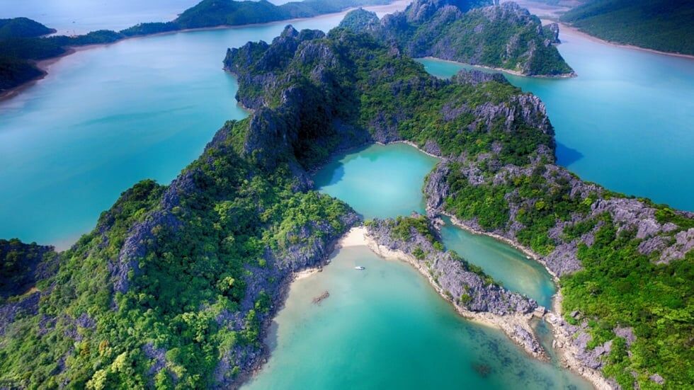 Plongez dans l’héritage naturel et contemplatif du Vietnam
