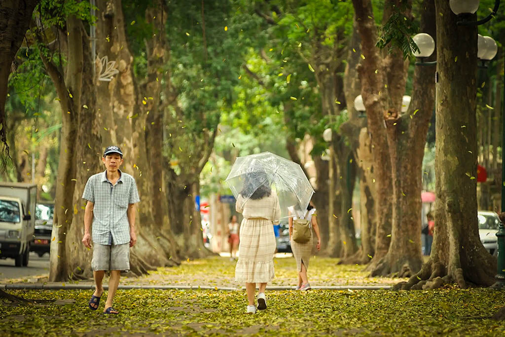 Hanoi Old Quarter bustling str