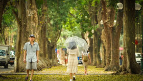 Hanoi French Quarter & Coffee Discovery: Full Day Private Tour