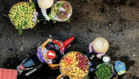 Hanoi Full Day Private City Tour with Airport Pickup, Local Markets & Cultural Immersion