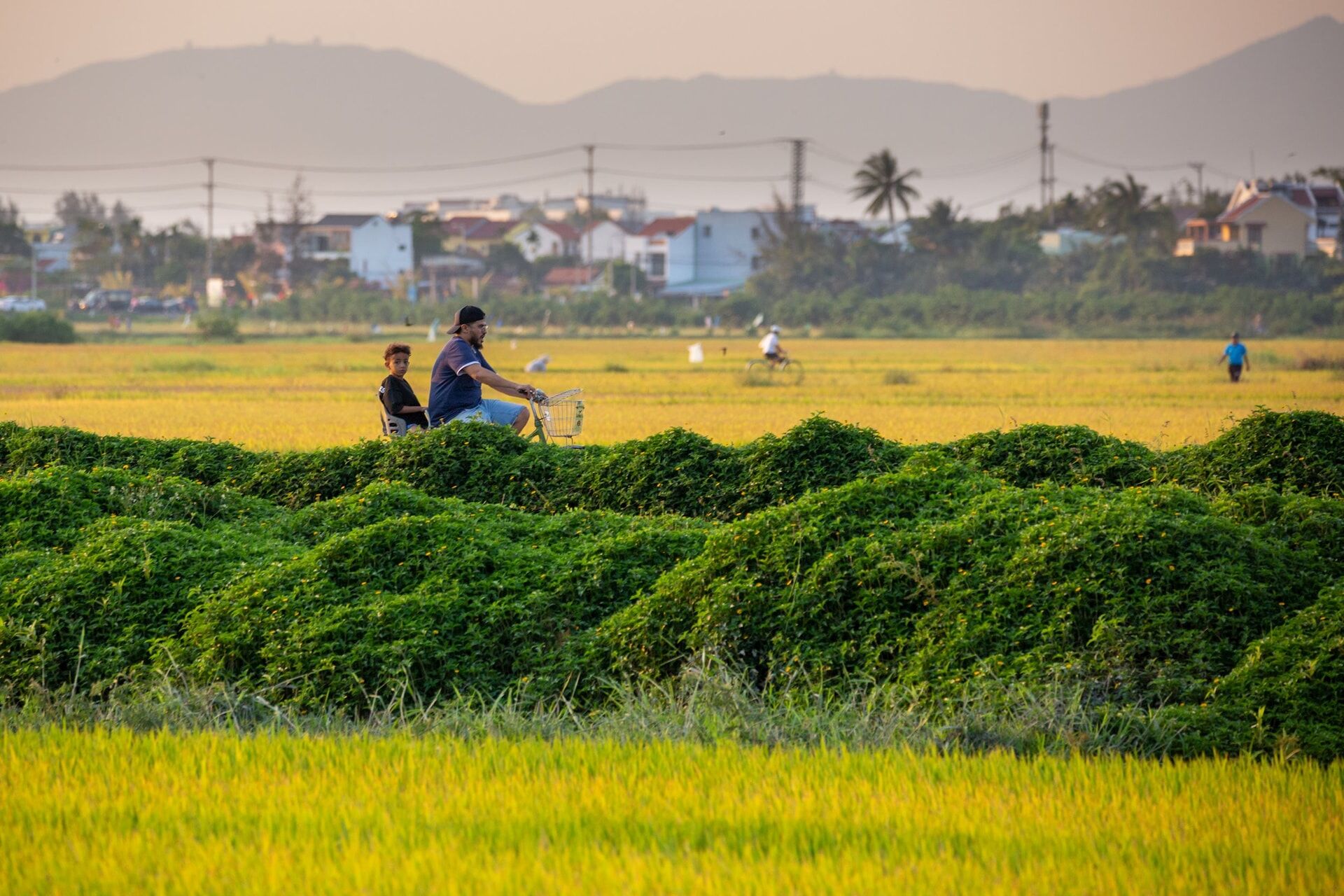 Hoi An Bicycle 6