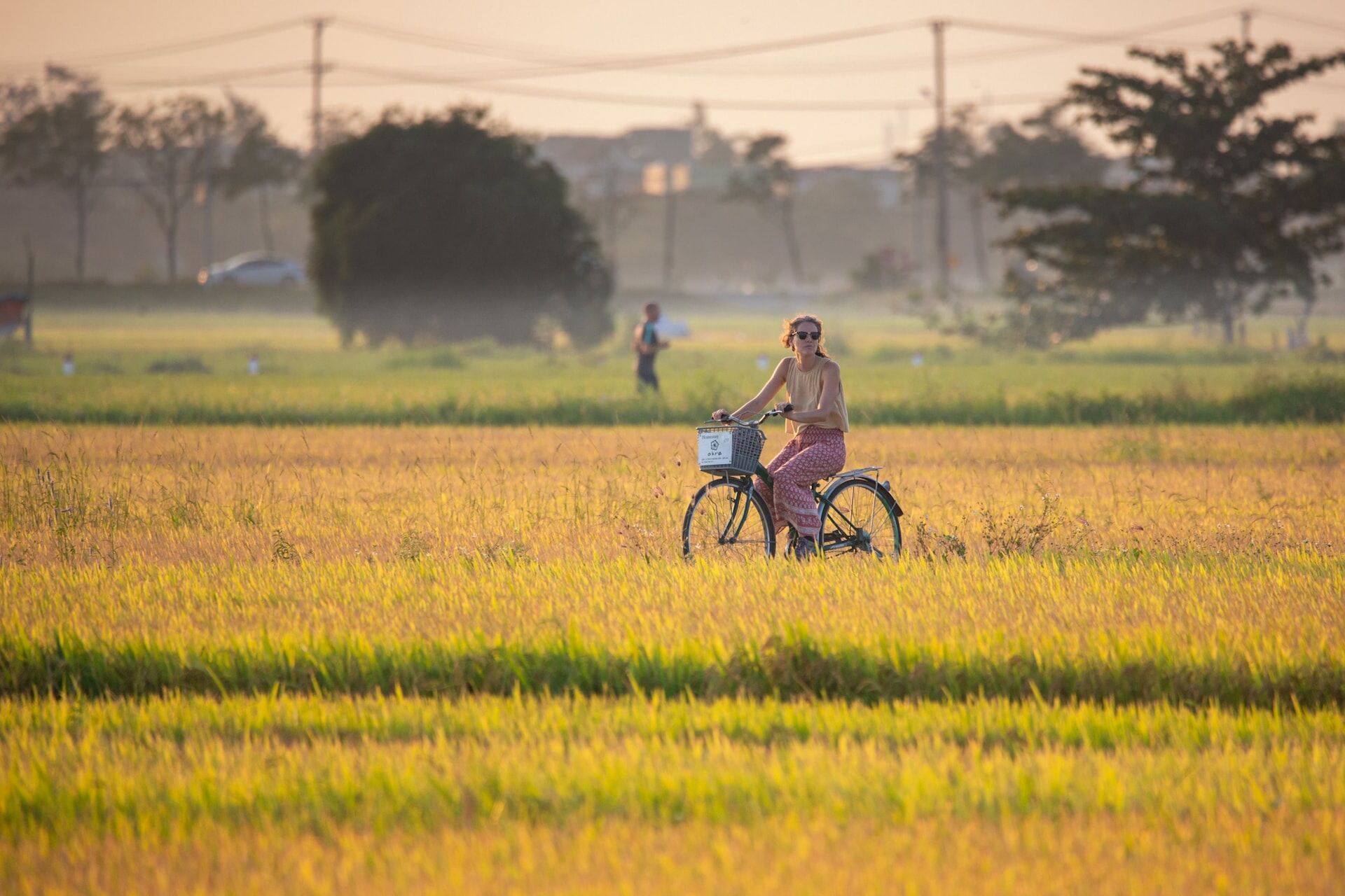 Hoi An Bicycle 7