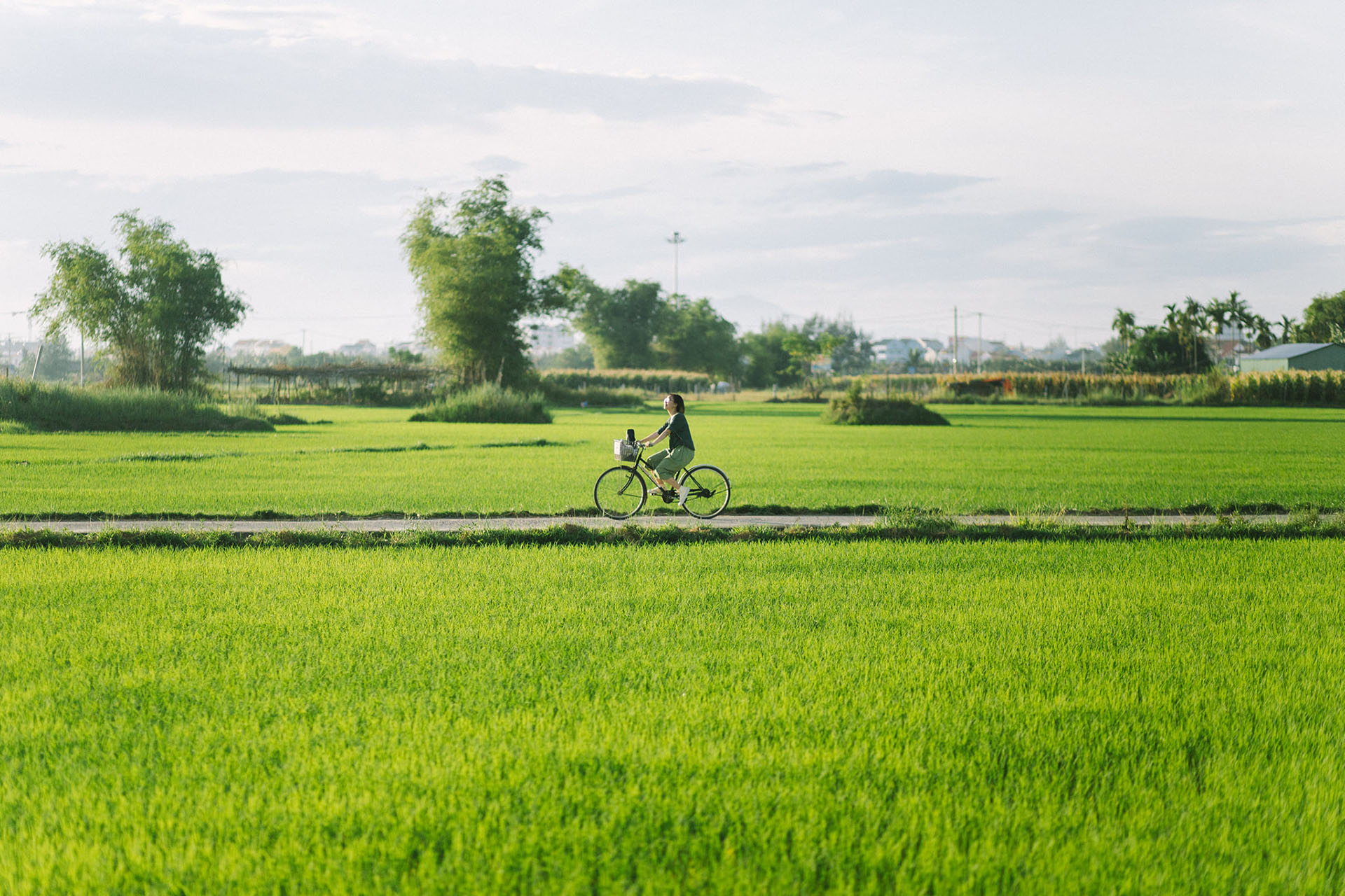 Hoi An Bicycle Cam Thanh