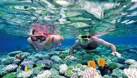 Cham Islands Private Snorkeling Day Tour from Hoi An with Da Nang Airport Drop-off