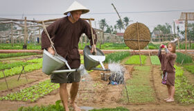 Hoi An Full Day Private Adventure Tour with Da Nang Airport Pickup: Basket Boat & Ancient Town