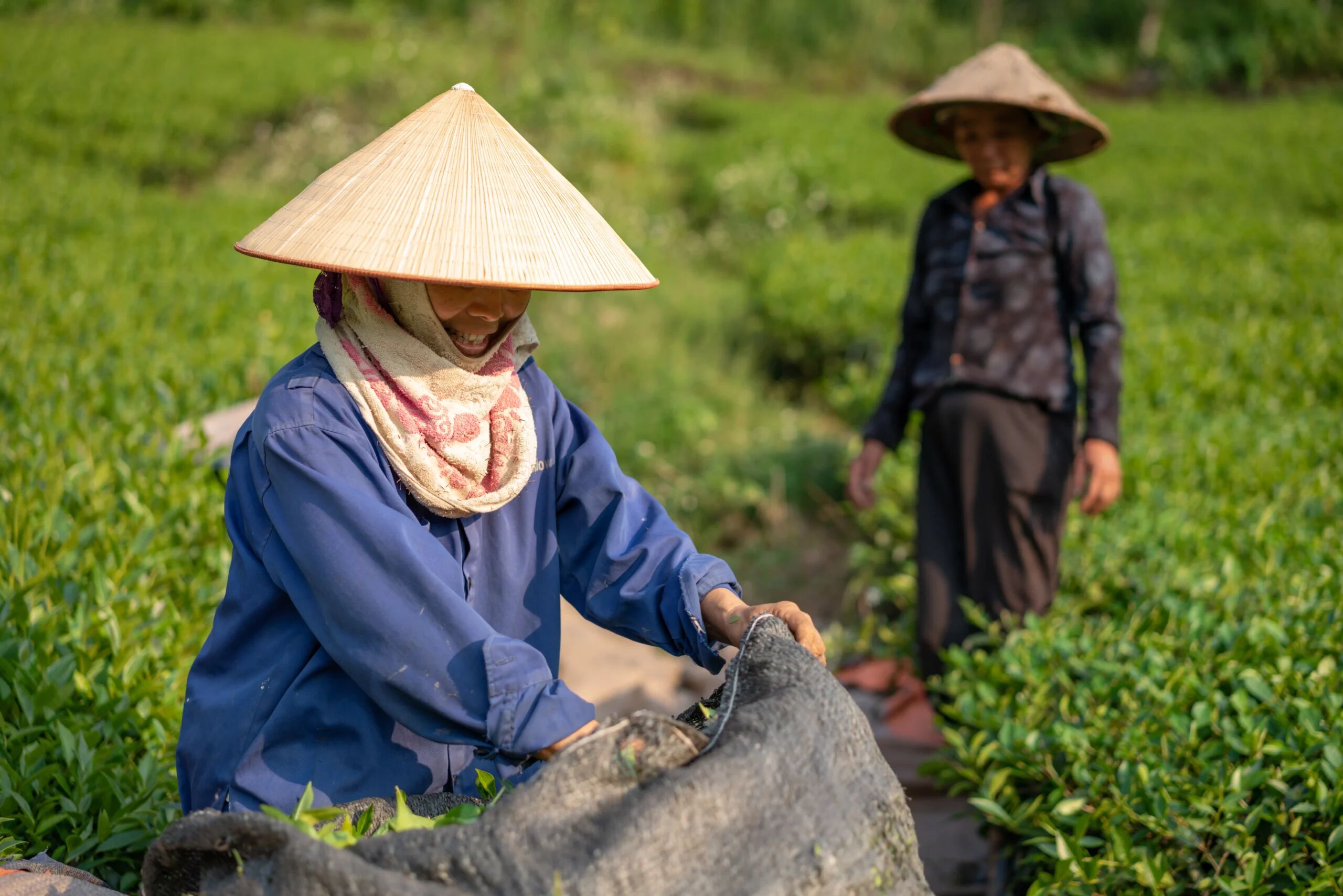 Hoi An Tra Que Herb Village - Photograph the peaceful soul of Vietnam’s ancient culture