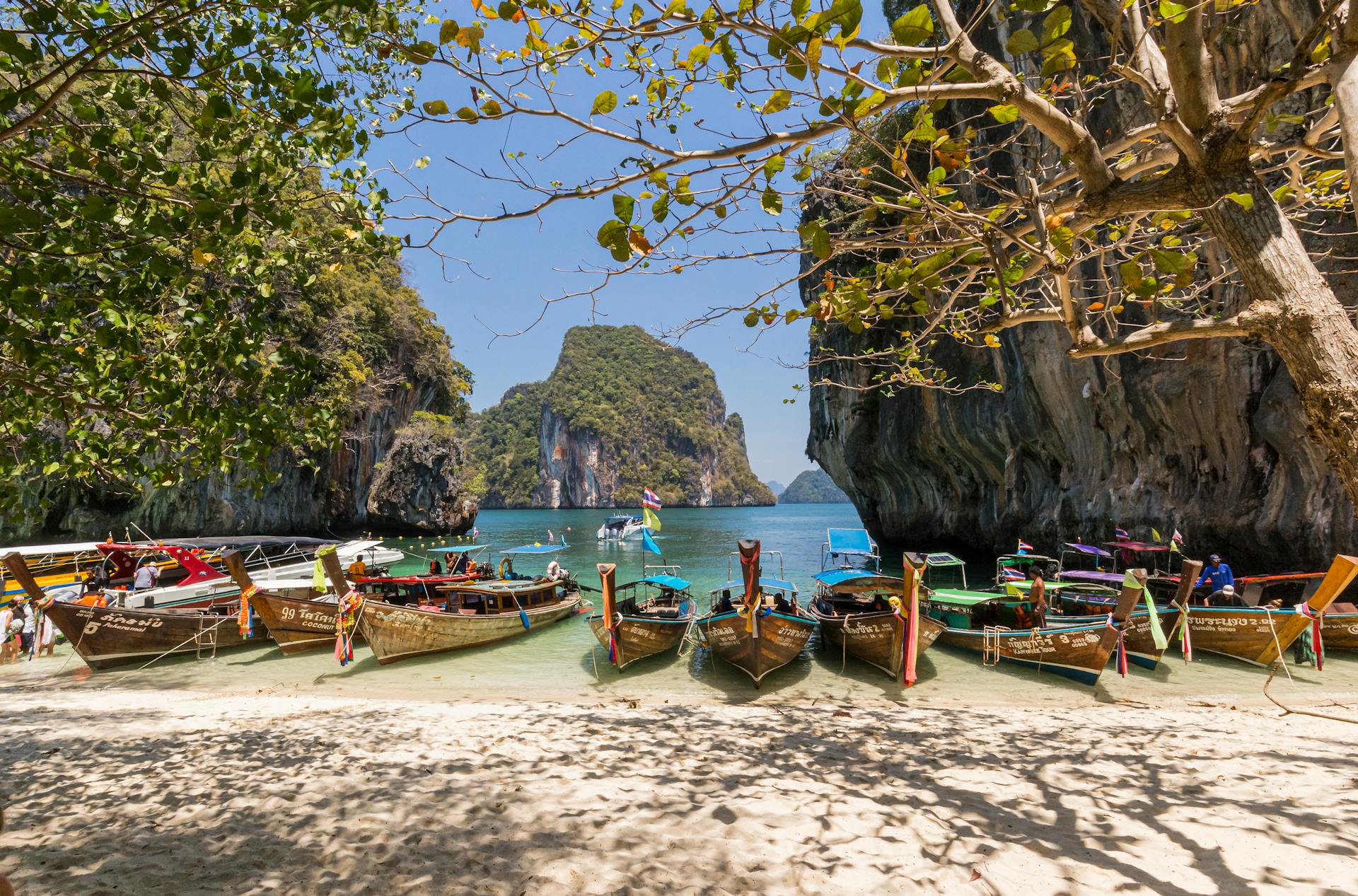Capture the authentic charm of Thailand’s natural scene