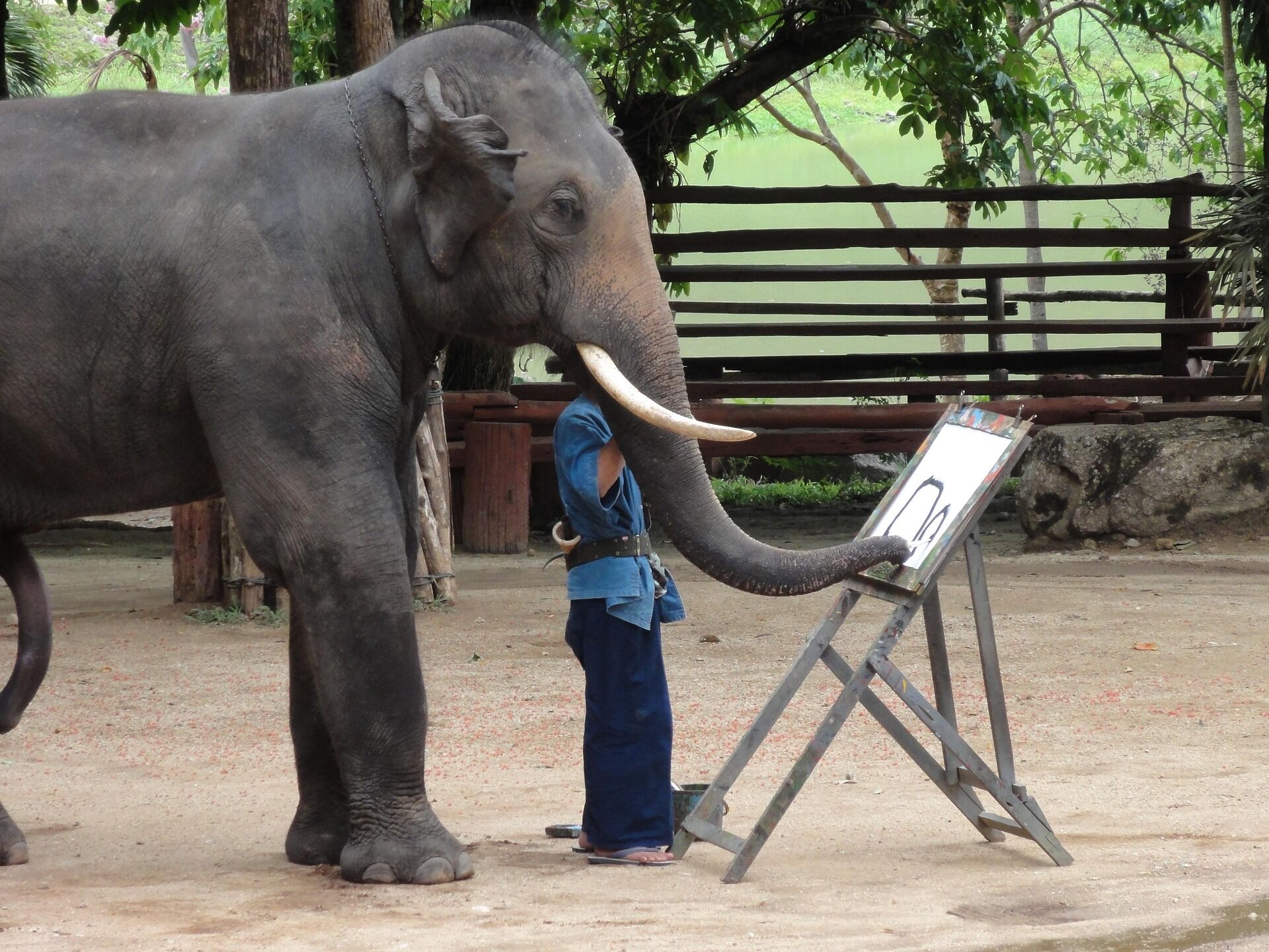 Lampang Elephant Drawing
