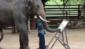 Lampang Elephant Drawing