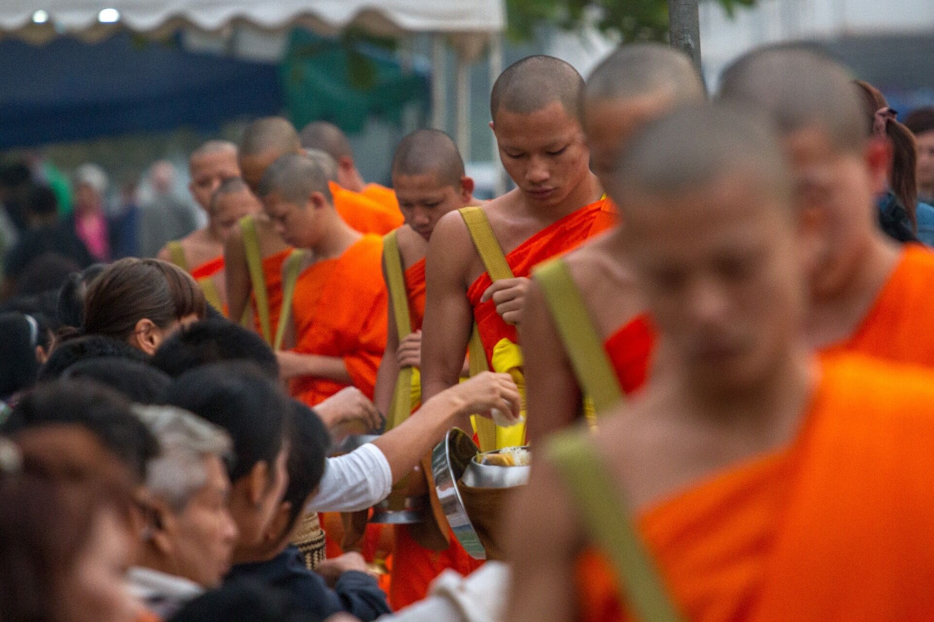 Experience Laos’ heritage with guided tours