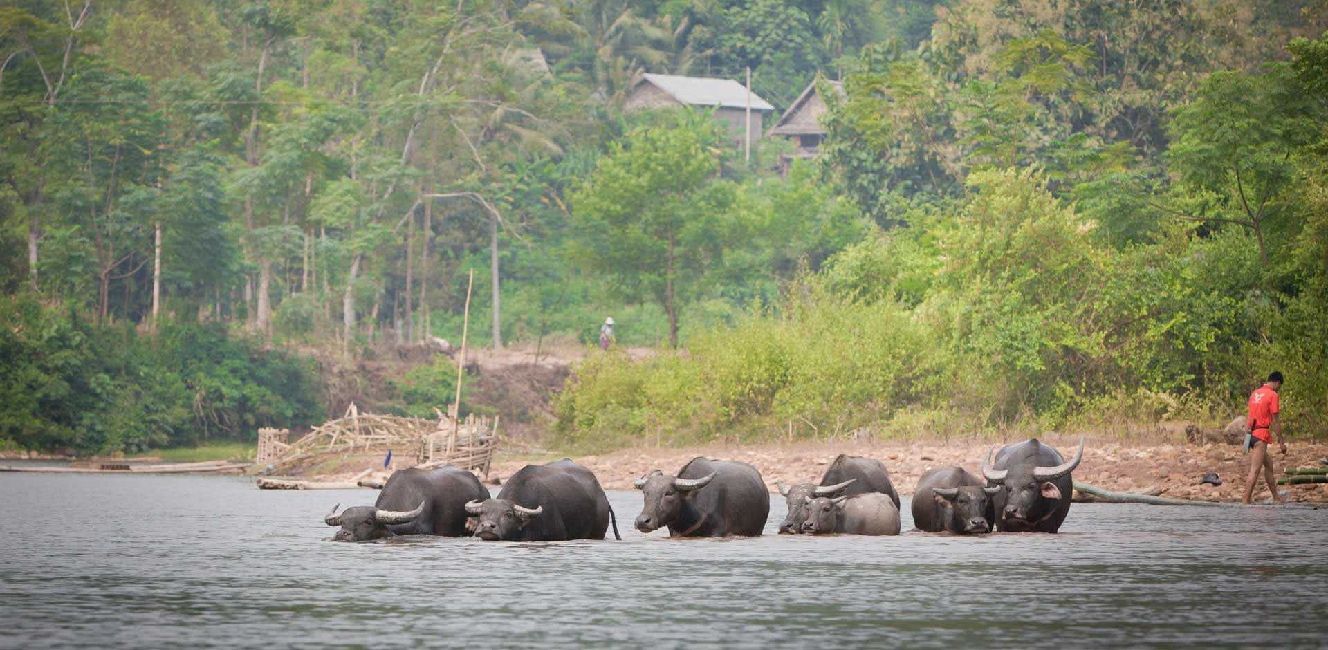 Muang La, Laos