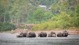 Muang La, Laos