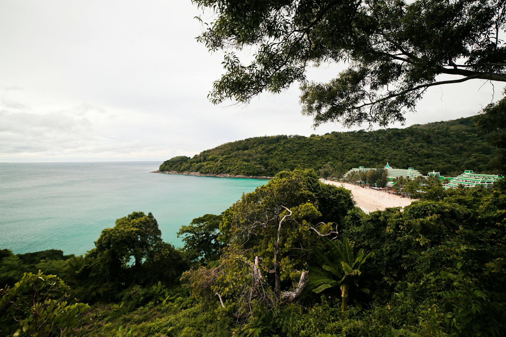Start your journey with Phi Phi Island’s scenic glow