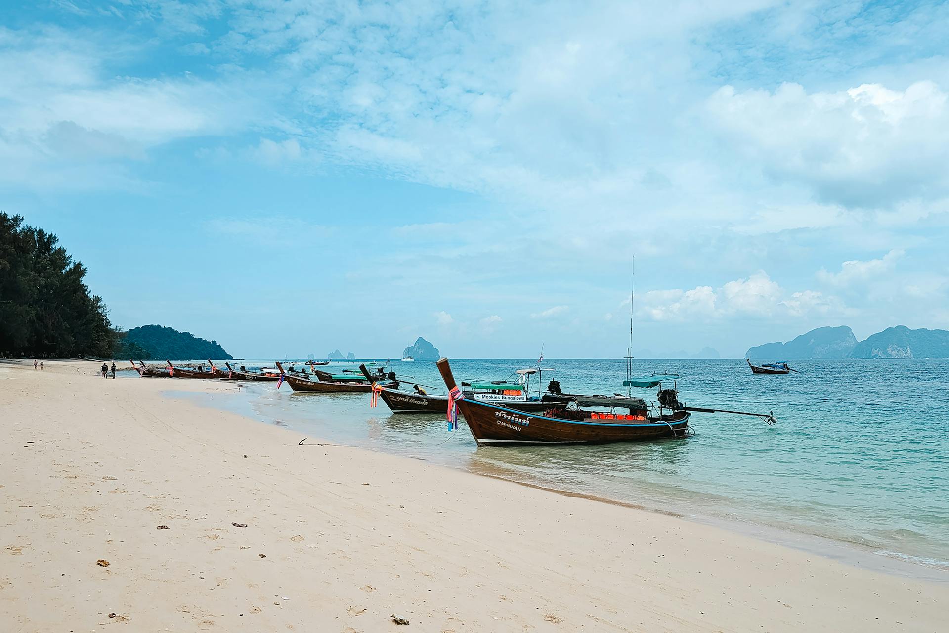 Dive into the emerald beauty of the Andaman Sea
