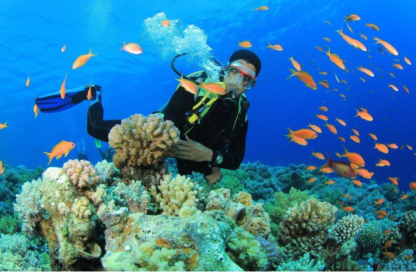 Capture the stunning beauty of Vietnam’s diving landmarks