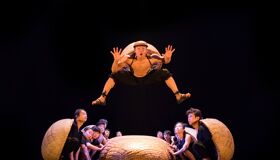 Ho Chi Minh City Full Day Private Exploration Tour: Iconic Landmarks, Cyclo & A O Show with Dinner